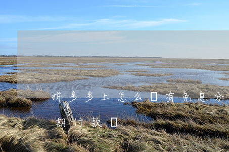 拼多多上怎么沒有免息分期(拼多多有免息分期付款嗎)
