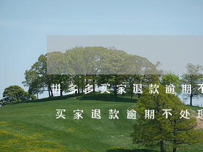 拼多多买家退款逾期不处理怎么办-拼多多买家退款逾期不处理怎么办呢