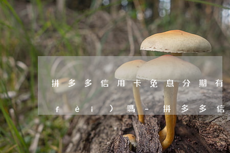 拼多多信用卡免息分期有手續(xù)費(fèi)嗎-拼多多信用卡免息分期有手續(xù)費(fèi)嗎安全嗎