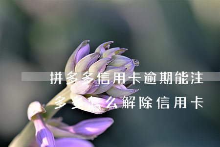 拼多多信用卡逾期能注冊(cè)商店嗎(拼多多怎么解除信用卡)