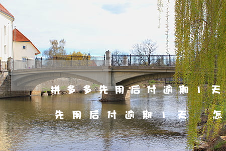 拼多多先用后付逾期1天會怎么樣-拼多多先用后付逾期1天會怎么樣嗎