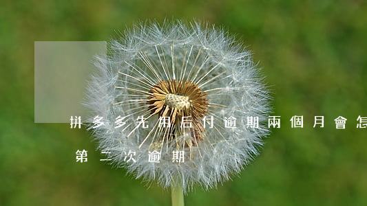 拼多多先用后付逾期兩個月會怎么樣（拼多多第二次逾期）