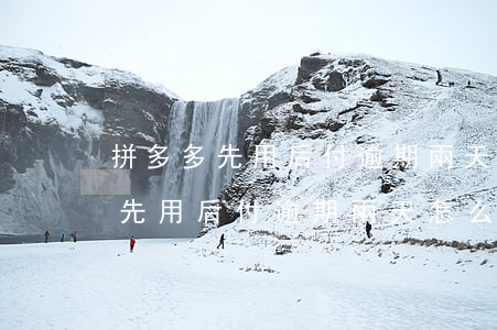拼多多先用后付逾期兩天怎么付款-拼多多先用后付逾期兩天怎么付款啊