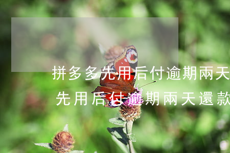 拼多多先用后付逾期兩天還款后果-拼多多先用后付逾期兩天還款后果是什么