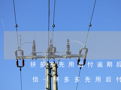 拼多多先用后付逾期后多久恢復(fù)征信-拼多多先用后付逾期后多久恢復(fù)征信記錄
