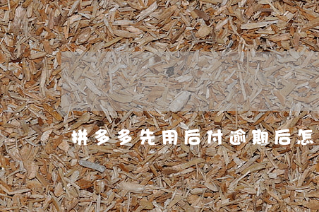 拼多多先用后付逾期后怎么還款-