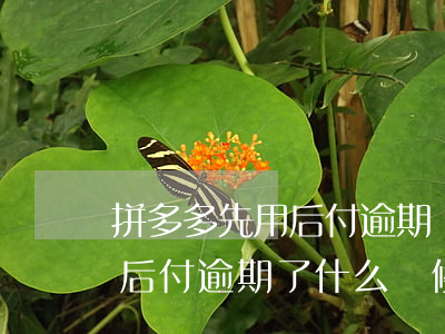 拼多多先用后付逾期幾天停用了(拼多多先用后付逾期了,什么時候才能恢復呢)