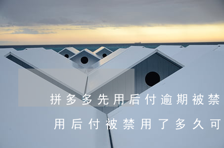 拼多多先用后付逾期被禁用怎么辦(拼多多先用后付被禁用了多久可以恢復)