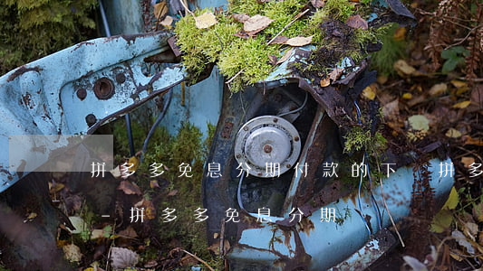 拼多多免息分期付款的下載拼多多商家版嗎-拼多多 免息分期