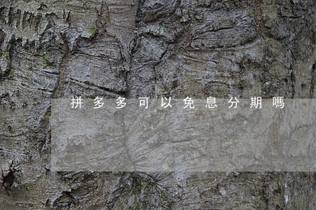 拼多多可以免息分期嗎