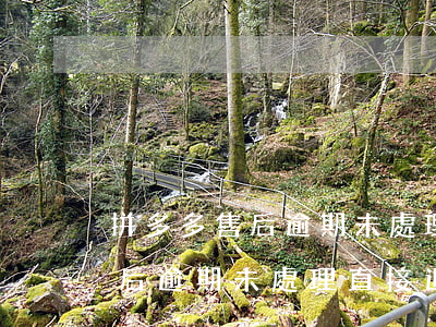 拼多多售后逾期未處理直接退款-拼多多售后逾期未處理直接退款可以嗎