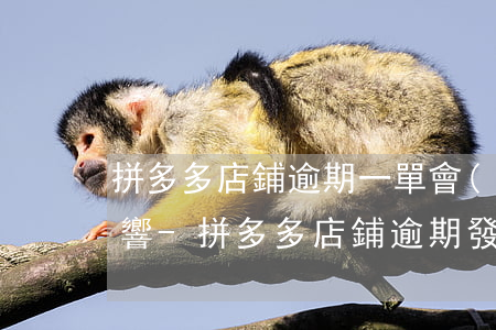 拼多多店鋪逾期一單會(huì)有什么影響-拼多多店鋪逾期發(fā)貨幾十單會(huì)降權(quán)嗎