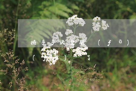 拼多多快逾期發(fā)貨(拼多多快逾期發(fā)貨了)
