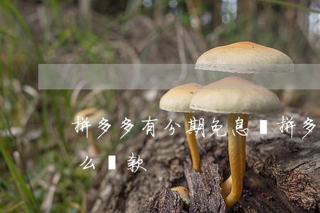 拼多多有分期免息嗎(拼多多有分期免息嗎怎么還款)