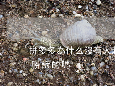 拼多多為什么沒有人起訴(商家起訴拼多多有勝訴的嗎)