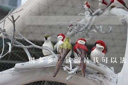 拼多多盜我圖片我可以法院起訴嗎