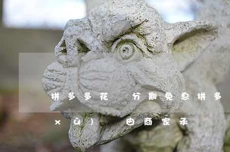 拼多多花唄分期免息(拼多多花唄分期手續(xù)費由商家承擔?)