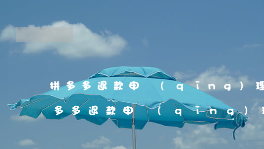 拼多多退款申請(qǐng)理由怎么寫(拼多多退款申請(qǐng)理由怎么寫)