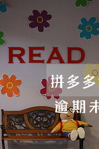 拼多多退款逾期未還款怎么處理（拼多多退款逾期未還款）