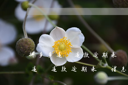 拼多多退貨退款逾期未處理怎么辦-拼多多退貨退款逾期未處理怎么辦啊