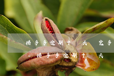 拼多多逾期十幾天還完多久能恢復(fù)-拼多多逾期十幾天還完多久能恢復(fù)正常