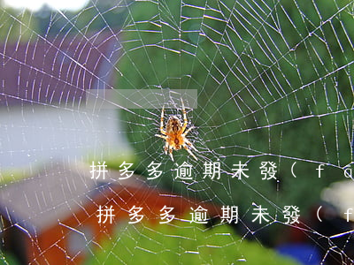 拼多多逾期未發(fā)貨商家賠償標準-拼多多逾期未發(fā)貨商家賠償標準是什么