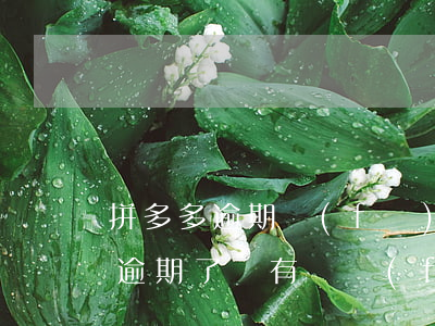 拼多多逾期發(fā)貨剩 拼多多訂單快要逾期了沒有貨發(fā)怎么辦