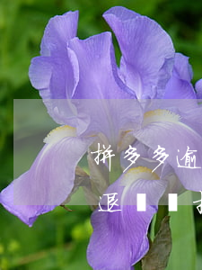 拼多多逾期退貨后果(拼多多店鋪逾期了然后退貨會扣錢嗎)