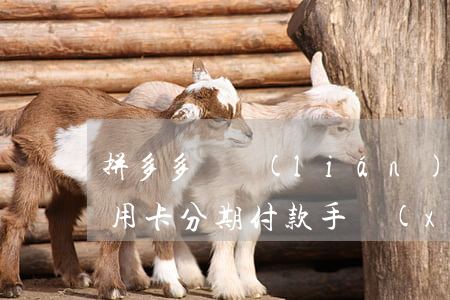 拼多多銀聯(lián)分期免息(拼多多信用卡分期付款手續(xù)費)