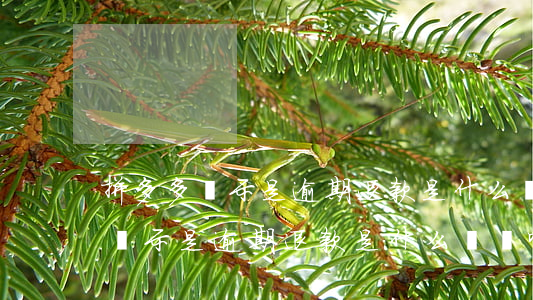 拼多多顯示是逾期退款是什么訂單-拼多多顯示是逾期退款是什么訂單啊