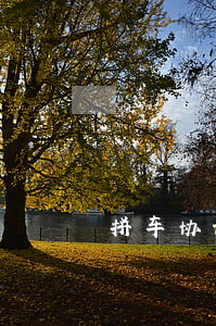 拼车协议书