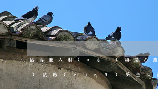 拾得他人財(cái)物是否應(yīng)該應(yīng)妥善保管