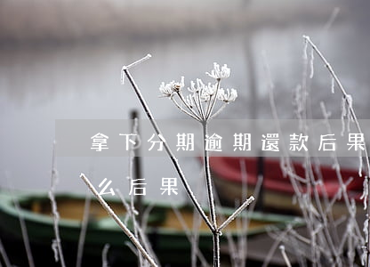 拿下分期逾期還款后果(分期貸逾期不還有什么后果)
