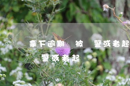 拿下逾期會被報警或者起訴嗎(拿下逾期會被報警或者起訴嗎)