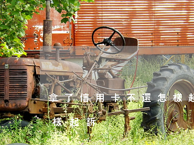 拿了信用卡不還怎樣起訴(拿了信用卡不還怎樣起訴)