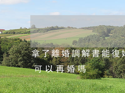 拿了離婚調解書能復婚嗎(法院的離婚調解書可以再婚嗎)