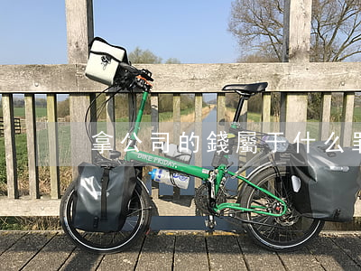 拿公司的錢屬于什么罪(拿走公司的錢犯法嗎)