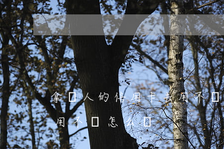 拿別人的信用卡去用不還(把信用卡借給別人用不還怎么辦)