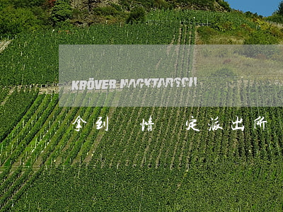 拿到傷情鑒定派出所該怎么處理
