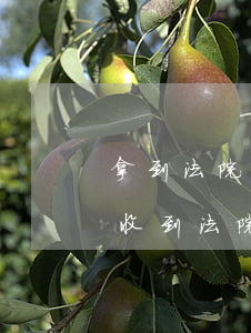 拿到法院執(zhí)行通知書可以起訴嗎(收到法院執(zhí)行通知書馬上就執(zhí)行嗎)