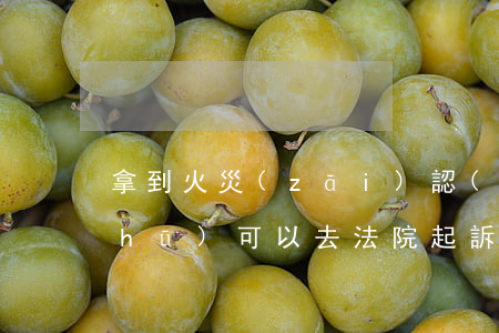拿到火災(zāi)認(rèn)定書(shū)可以去法院起訴嗎(火災(zāi)事故認(rèn)定書(shū)證據(jù)當(dāng)事人可以查看嗎)