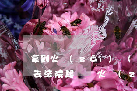 拿到火災(zāi)認(rèn)定書可以去法院起訴嗎(火災(zāi)事故認(rèn)定書證據(jù)當(dāng)事人可以查看嗎)