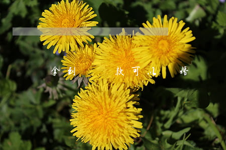 拿到賠償款可以離婚嗎(離婚要賠償嗎)
