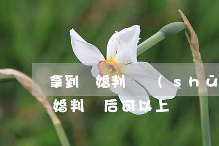 拿到離婚判決書(shū)還可以上訴嗎(離婚判決后可以上訴嗎)