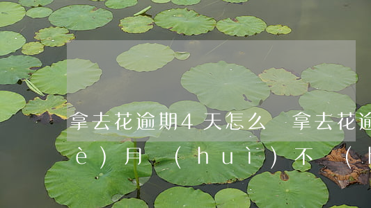 拿去花逾期4天怎么辦(拿去花逾期2個(gè)月會(huì)不會(huì)給我列入失信名單)