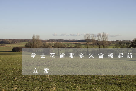 拿去花逾期多久會被起訴(借去花逾期多久會立案)