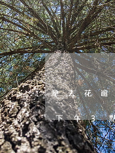 拿去花逾期 拿去花逾期一萬多幾年了催收說下午3點來我家
