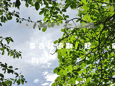 拿去花逾期會起訴嗎 借去花逾期了訴訟是真的嗎