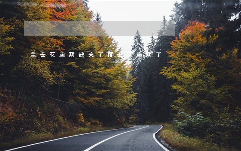 拿去花逾期被关了(借去花逾期了)