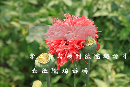 拿工资欠条到法院起诉可以吗(我有欠条可以去法院起诉吗)